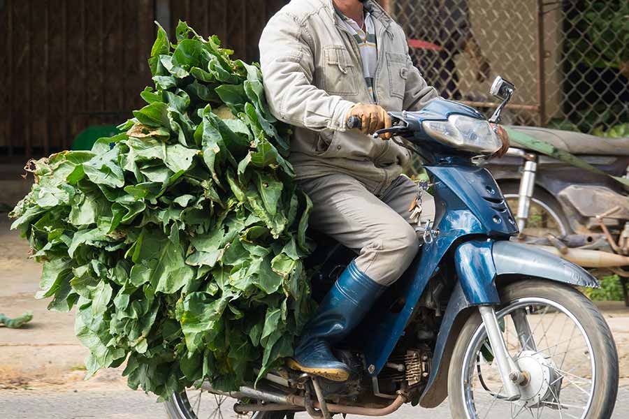motorbike-vietnam-backpacker-roller